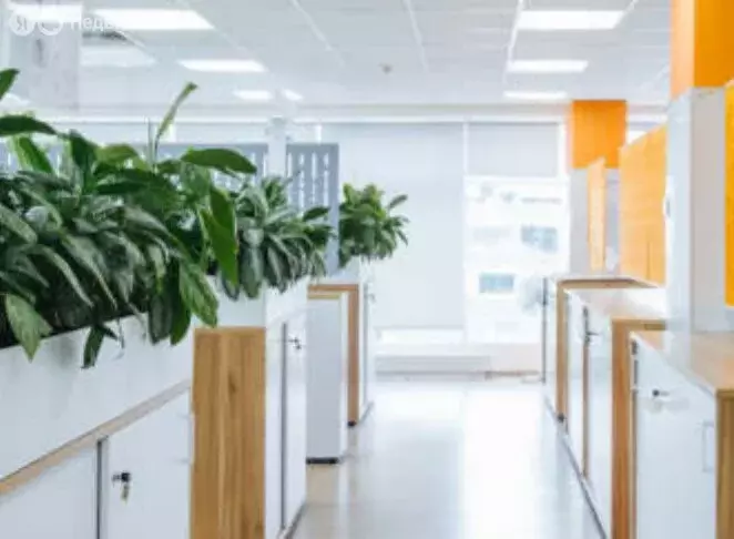 Офис (825.1 м) - Фото 1