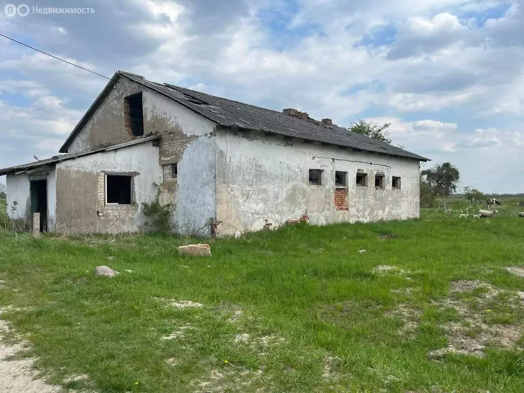 Помещение свободного назначения (176.8 м) - Фото 2