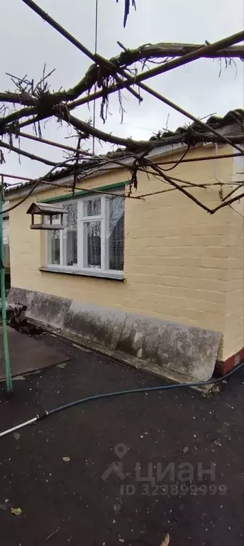 Дом в Белгородская область, Ракитное городское поселение, Ракитное рп  ... - Фото 1