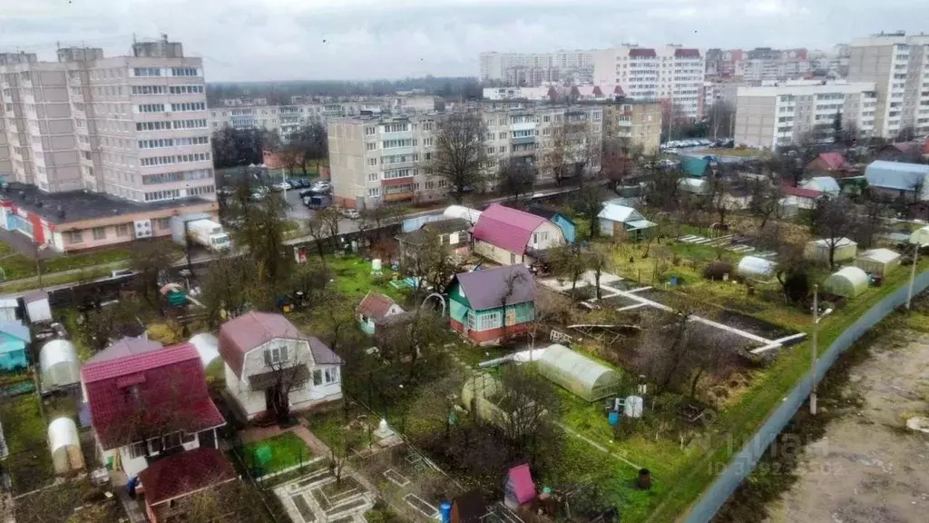 Участок в Московская область, Серпухов Химик-1 СНТ, 8 (6.0 сот.) - Фото 2