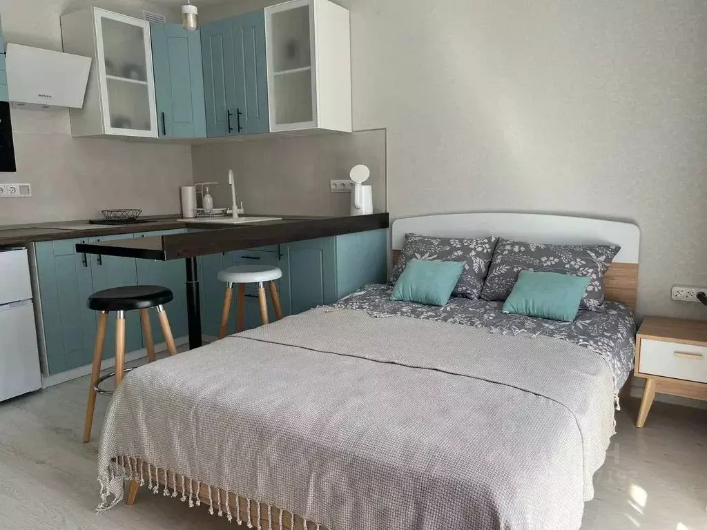 Студия Тверская область, Тверь ул. С.Я. Лемешева, 6 (25.0 м) - Фото 1