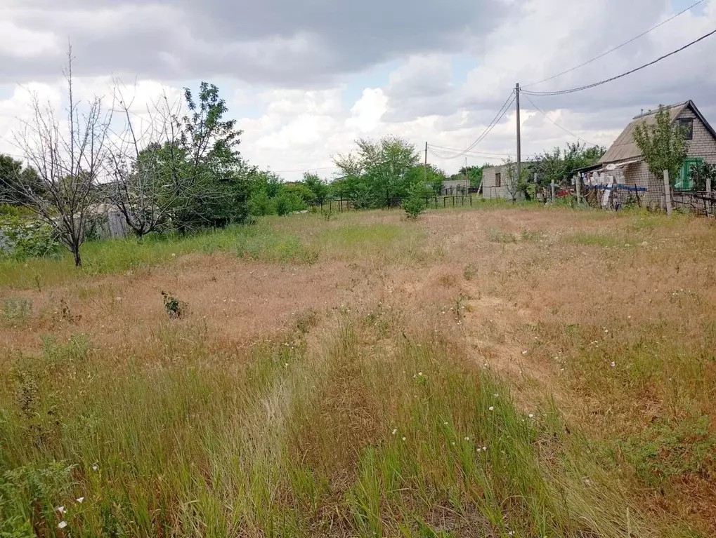 Участок в Волгоградская область, Городищенский район, Новонадеждинское ... - Фото 0