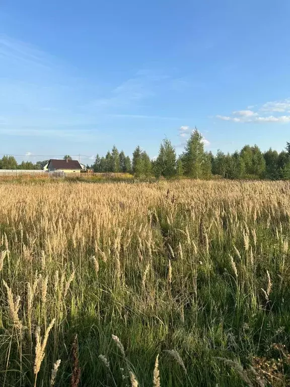 Участок в Марий Эл, Йошкар-Ола городской округ, д. Апшакбеляк ул. ... - Фото 0