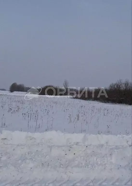 Участок в Тюменская область, Тюменский район, д. Марай  (9.85 сот.) - Фото 1