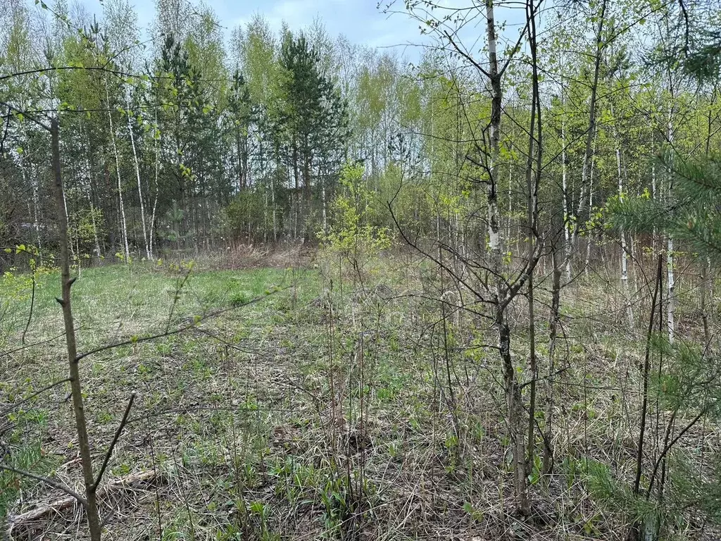 Участок 5 сот. (СНТ, ДНП) - Фото 1
