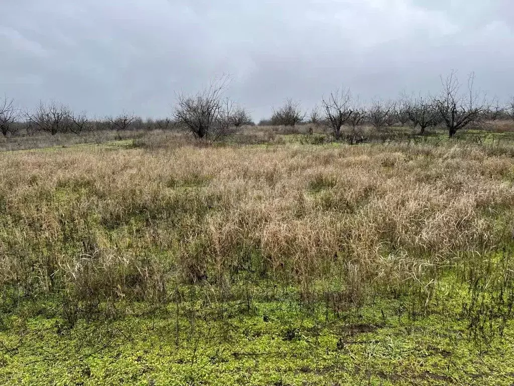 Участок в Ростовская область, Азов Азовский район, ул. Победы (6.0 ... - Фото 1