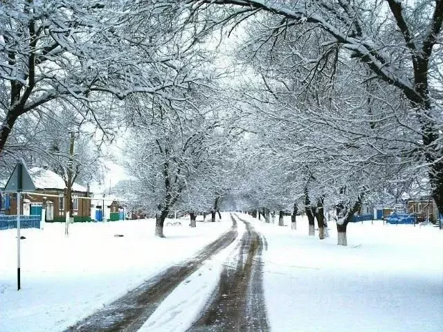 Участок в Ставропольский край, Ипатовский муниципальный округ, Малый ... - Фото 1