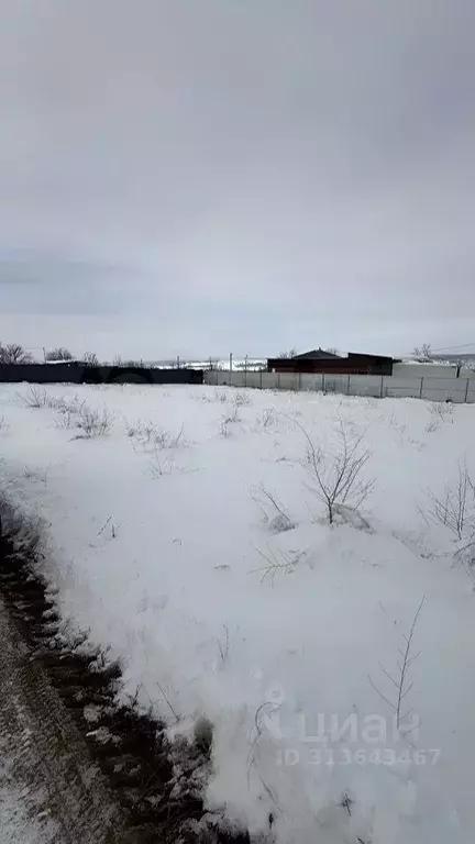 Участок в Ростовская область, Родионово-Несветайский район, ... - Фото 0