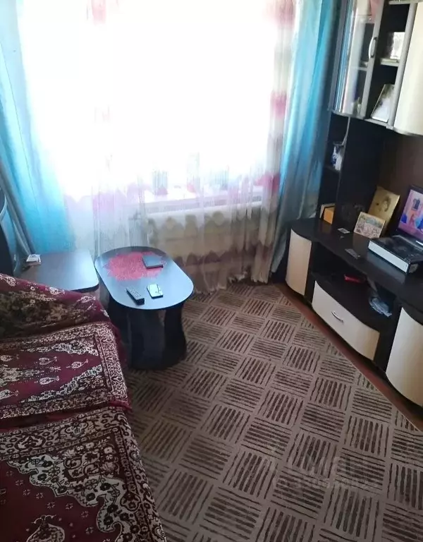1-к кв. Новосибирская область, Искитим Центральная ул., 20 (22.0 м) - Фото 2