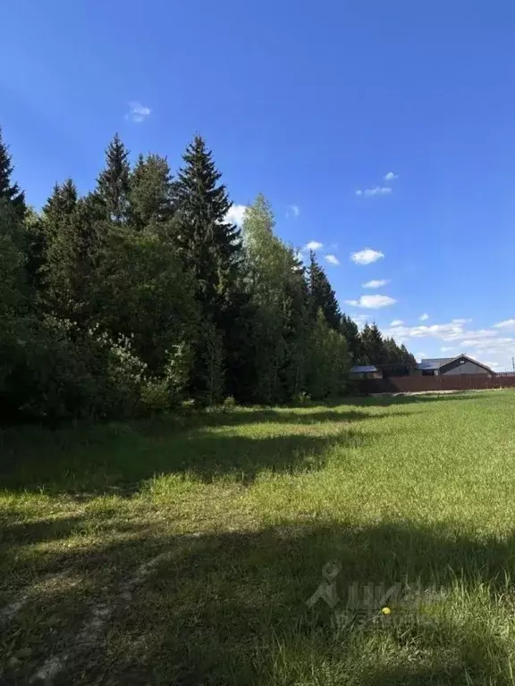 Участок в Московская область, Домодедово городской округ, д. Ивановка ... - Фото 2