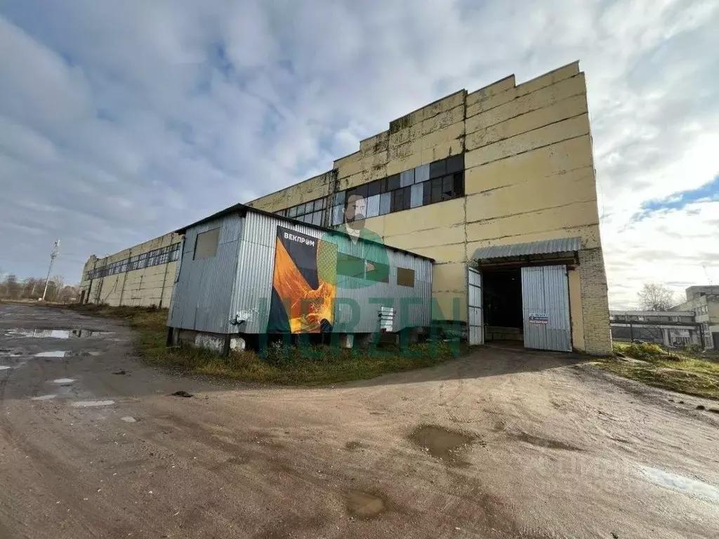 Производственное помещение в Московская область, Раменский ... - Фото 1