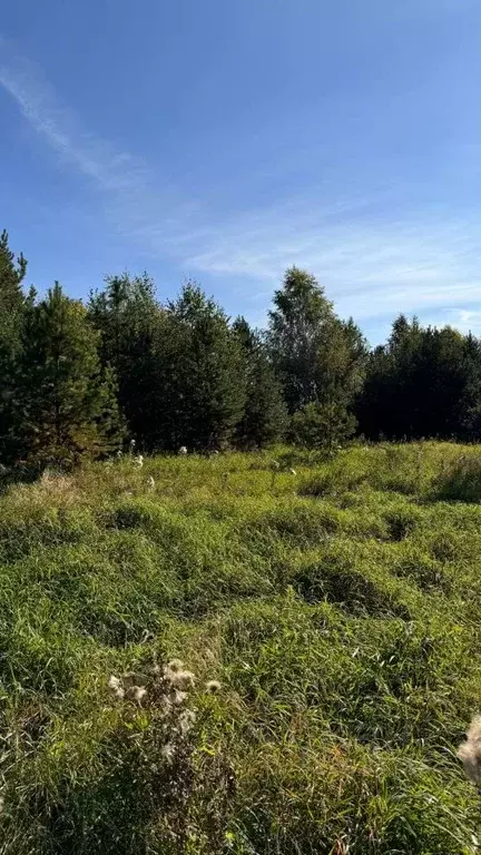 Участок в Свердловская область, Сысертский муниципальный округ, с. ... - Фото 1