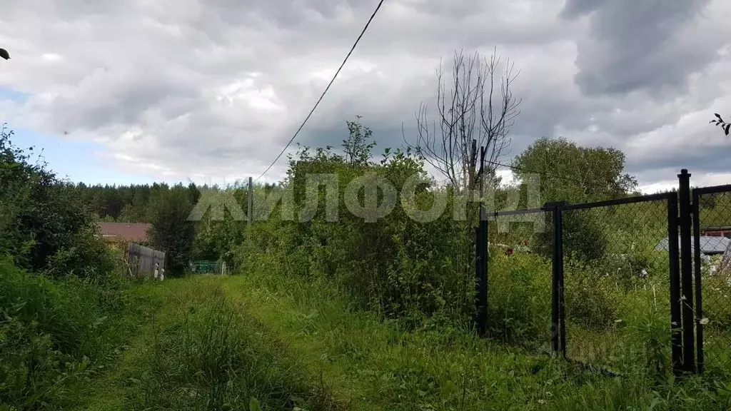Дом в Новосибирская область, Тогучинский район, Биолог СТ  (40 м) - Фото 1