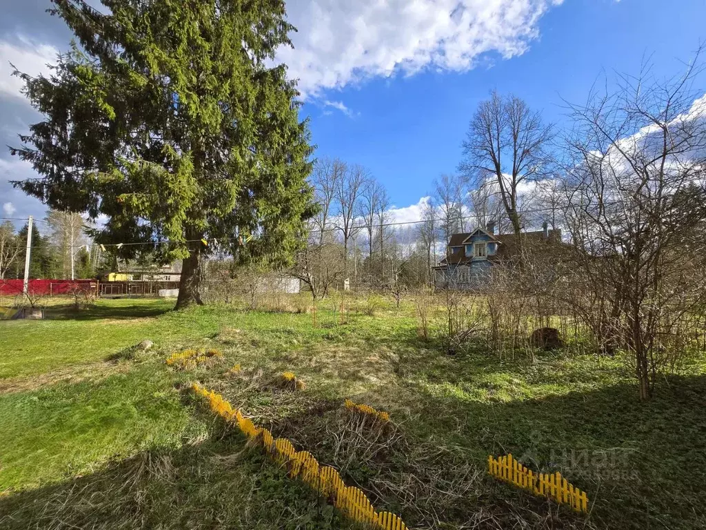 Участок в Ленинградская область, Гатчинский муниципальный округ, ... - Фото 1