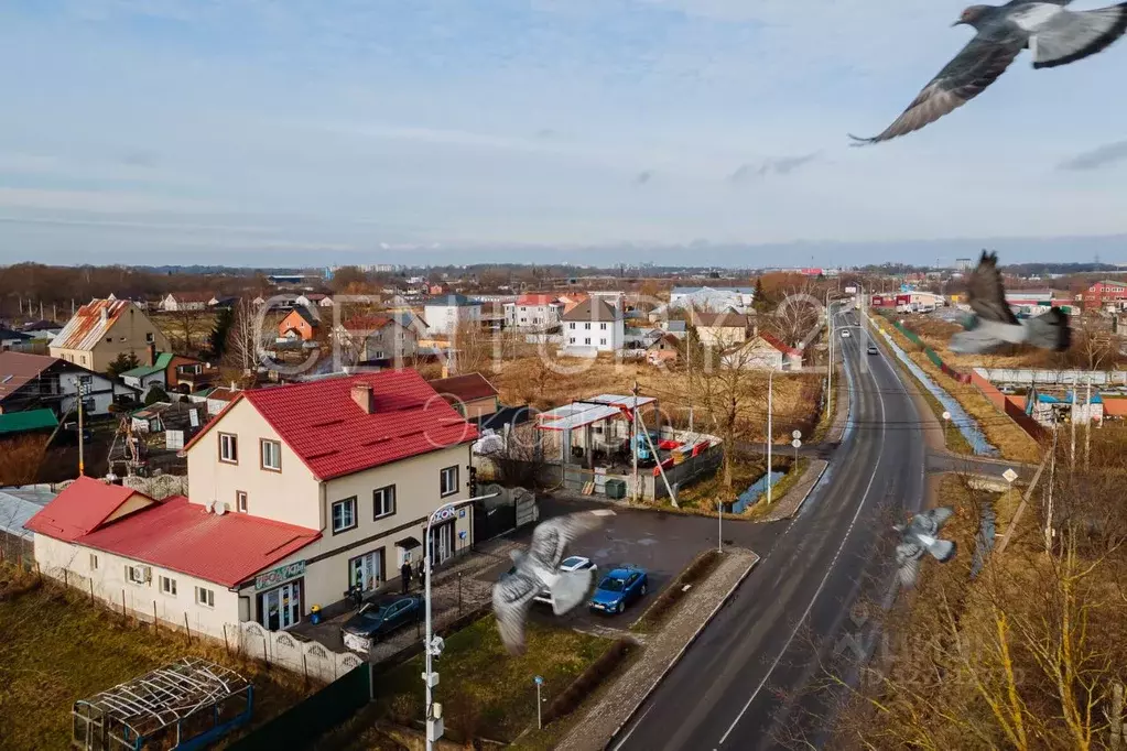 Помещение свободного назначения в Калининградская область, Гурьевский ... - Фото 2