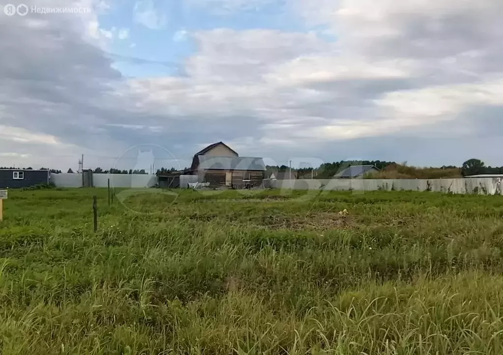 Дом в Тюменский муниципальный округ, село Борки (20 м) - Фото 2