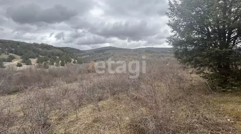 Участок в Севастополь с. Новобобровка, ул. Баденкиной, 1Д (10.0 сот.) - Фото 1