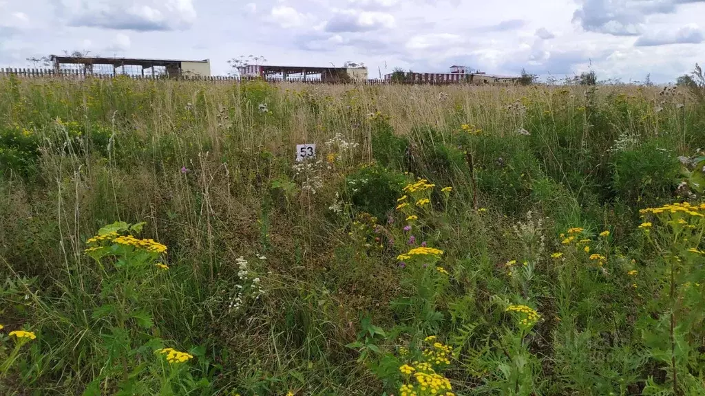 Участок в Калужская область, Малоярославецкий район, Недельное с/пос  ... - Фото 2