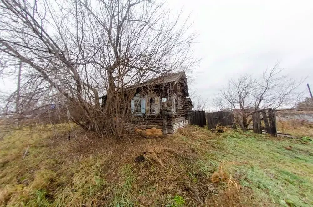 Участок в Курганская область, Шадринский муниципальный округ, с. ... - Фото 1