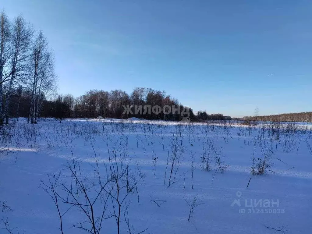 Участок в Новосибирская область, Кольцово рп, Микрорайон хут.  (87.92 ... - Фото 0