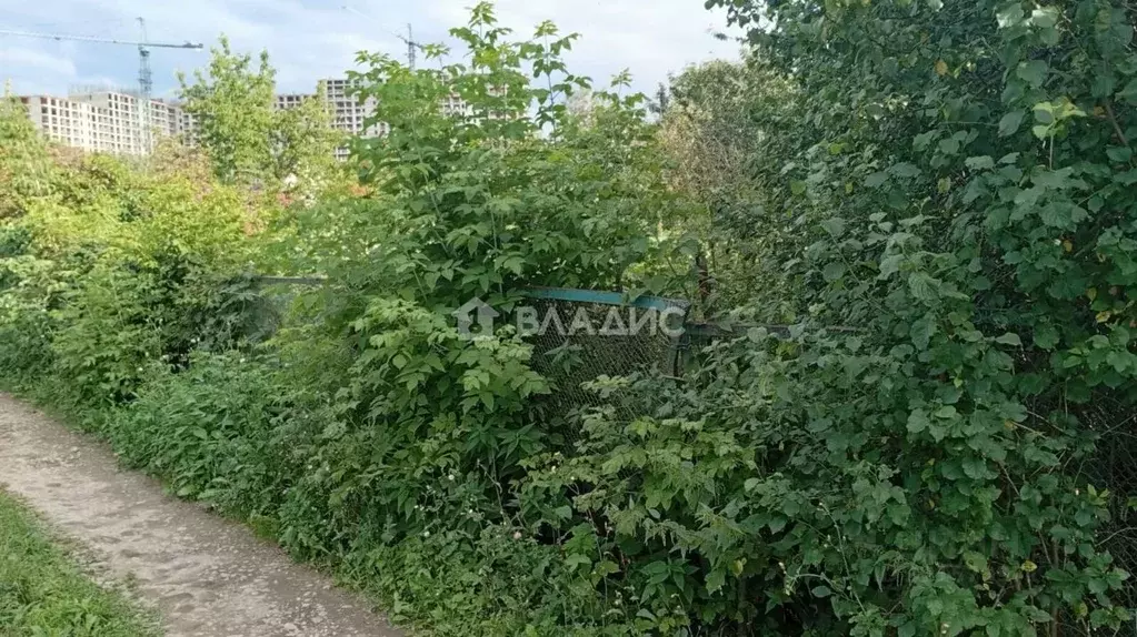 Участок в Московская область, Жуковский Селекционер СНТ, 10вл10 (4.0 ... - Фото 1