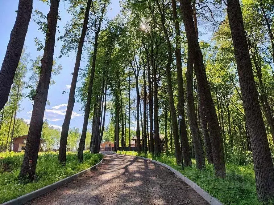 Участок в Московская область, Подольск городской округ, д. Бородино ... - Фото 2