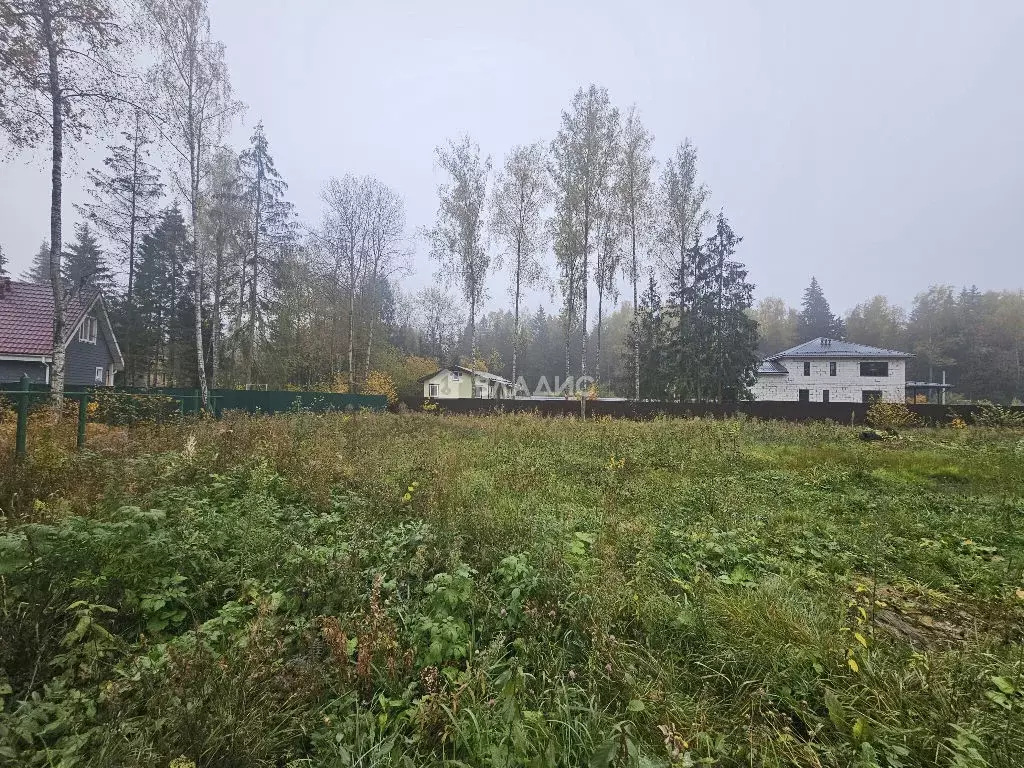 Продается участок в пгт Некрасовский - Фото 2