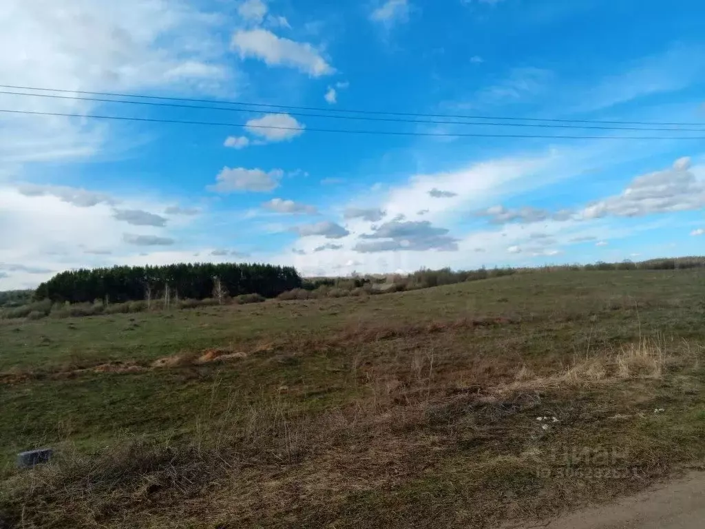 Участок в Нижегородская область, Богородский муниципальный округ, д. ... - Фото 0