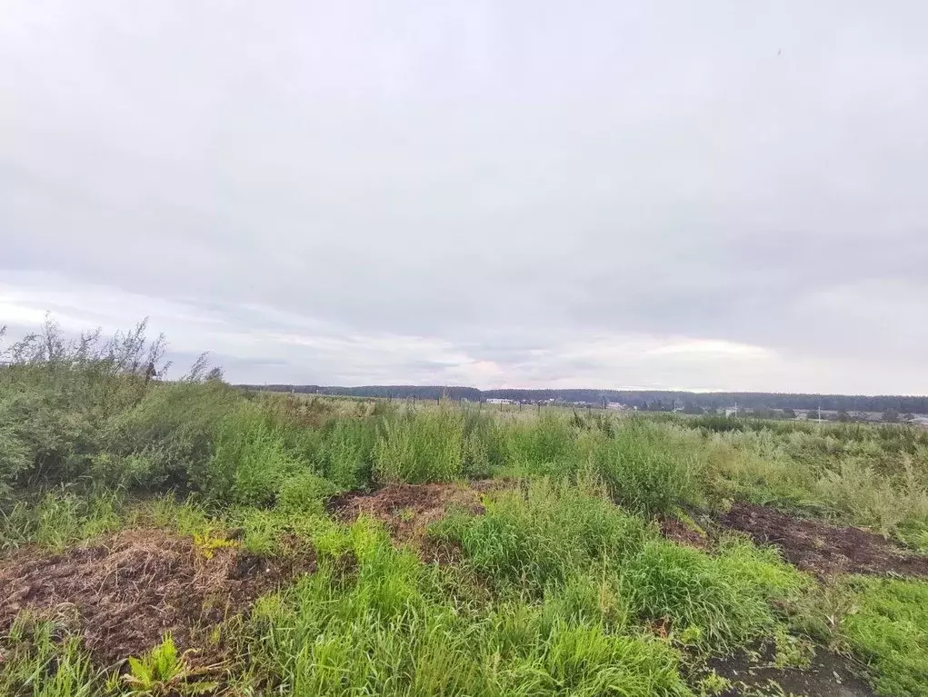 Участок в Свердловская область, Сысертский муниципальный округ, с. ... - Фото 2