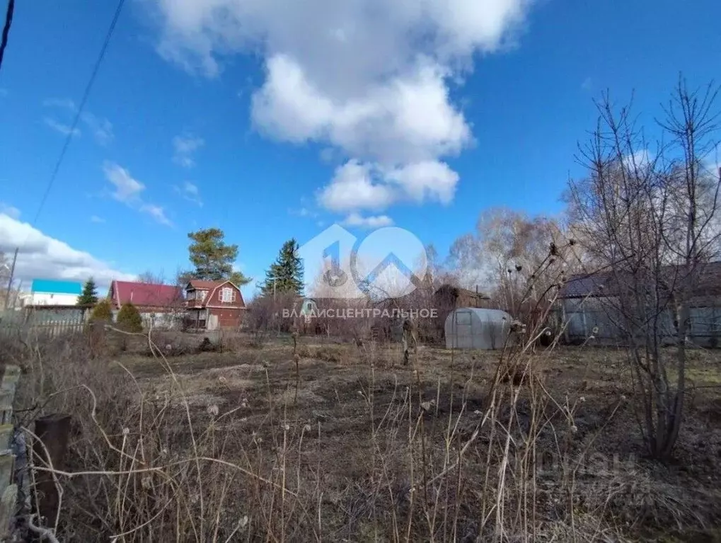 Участок в Новосибирская область, Новосибирск Центральная ул., 96 (6.4 ... - Фото 2