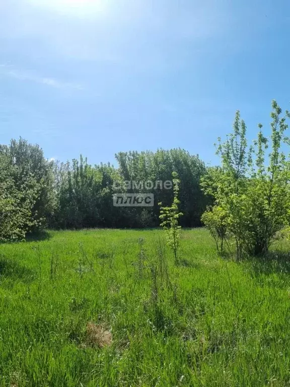 Дом в Воронежская область, с. Каширское ул. 9 Января, 59 (33 м) - Фото 1