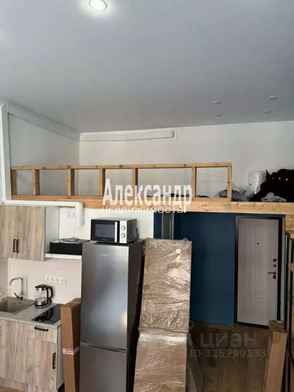 Студия Санкт-Петербург пер. Бойцова, 4 (32.0 м) - Фото 2