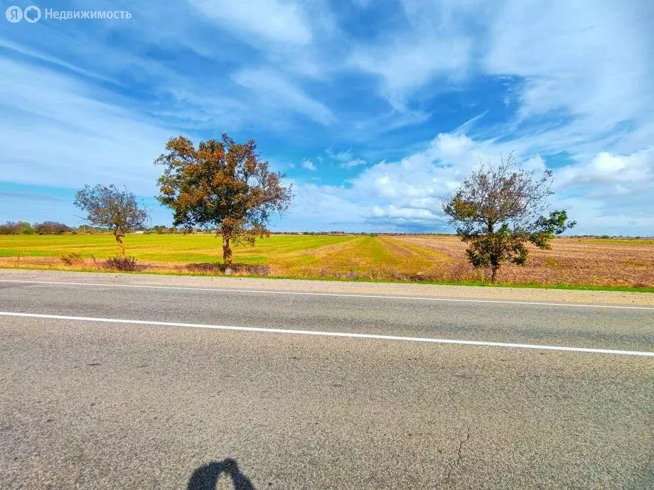 Участок в Темрюкский район, Запорожское сельское поселение, посёлок ... - Фото 1