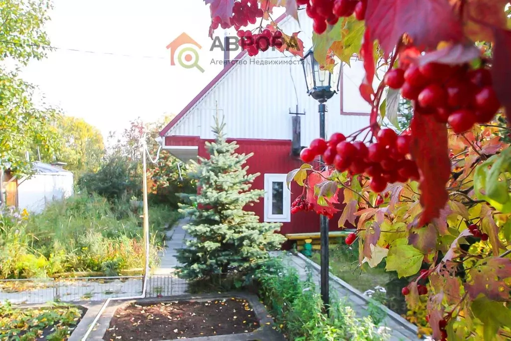 Дом в Ханты-Мансийский АО, Сургут Газовик СНТ,  (128 м) - Фото 0