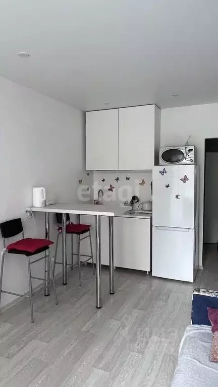 Студия Новосибирская область, Новосибирск Красный просп., 323 (23.3 м) - Фото 2