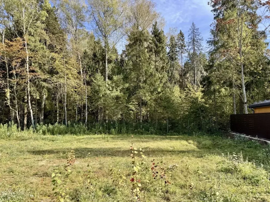 Участок в Московская область, Мытищи городской округ, д. Сухарево 7 ... - Фото 1