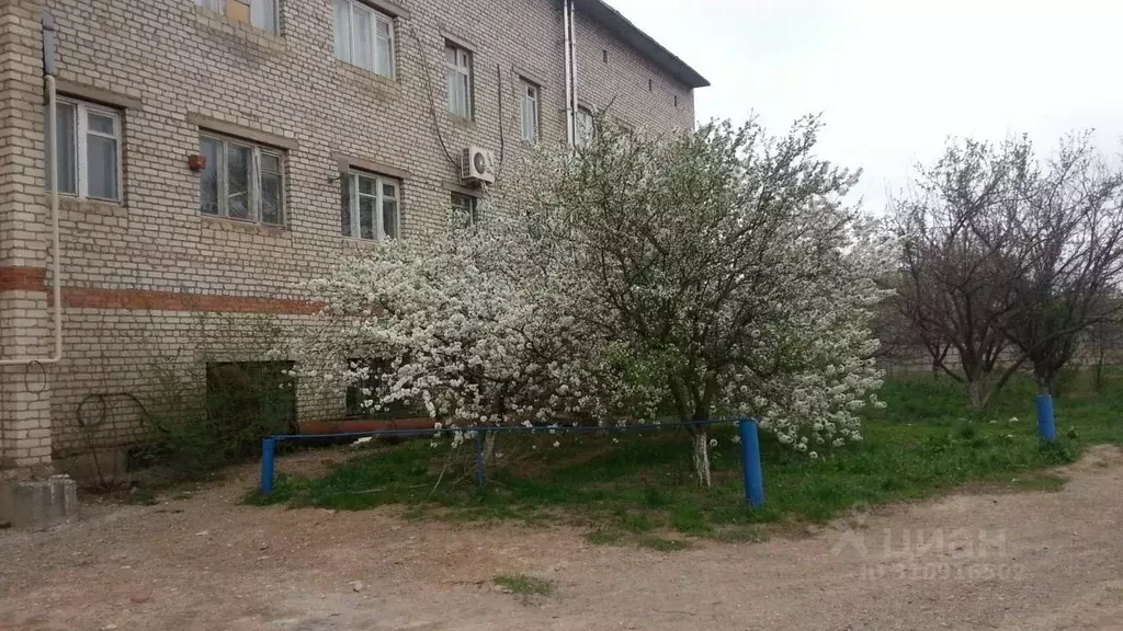 Помещение свободного назначения в Астраханская область, Астрахань ул. ... - Фото 1