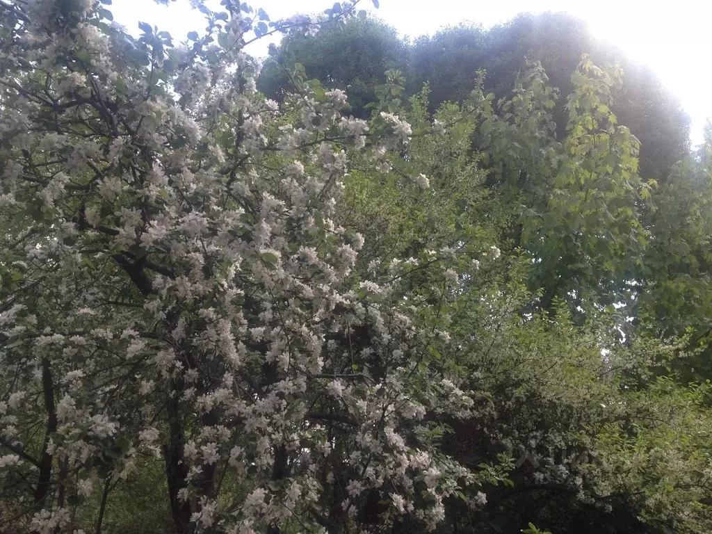 3-к кв. Московская область, Красногорск городской округ, с. Ангелово  ... - Фото 2