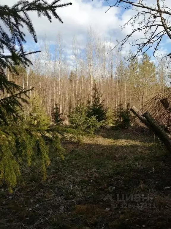 Участок в Ленинградская область, Выборгский район, Селезневское с/пос, ... - Фото 1