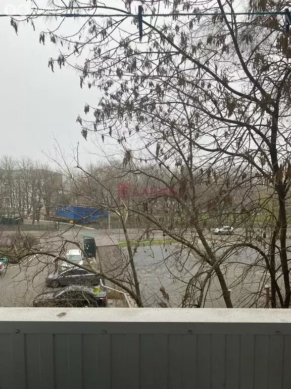 1-комнатная квартира: Ростов-на-Дону, улица Верещагина, 10 (24 м) - Фото 2