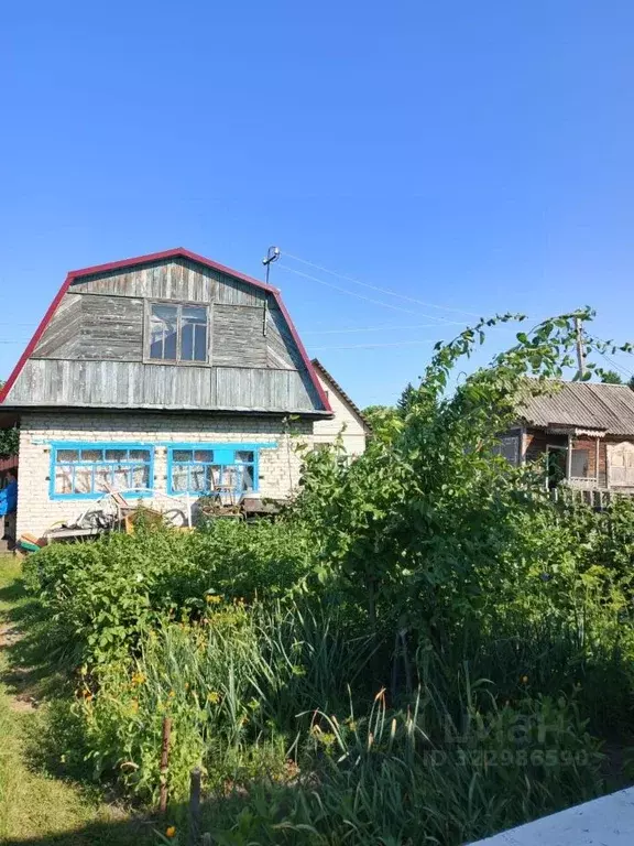 Дом в Новосибирская область, Новосибирск Береговое СНТ,  (46 м) - Фото 1