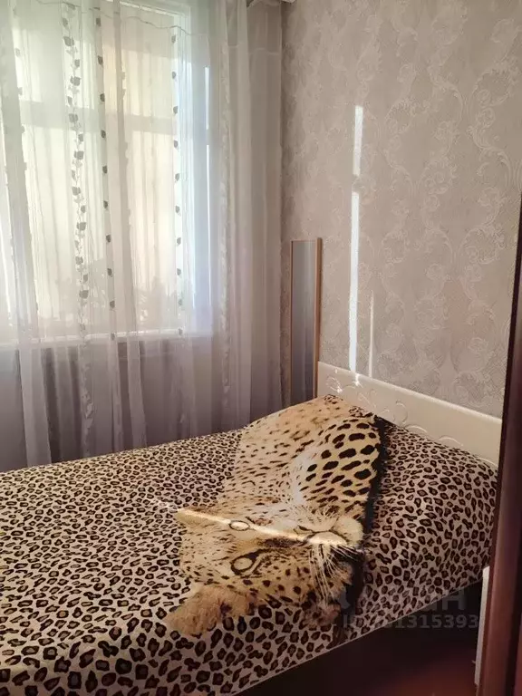 Комната Ульяновская область, Ульяновск ул. Рябикова, 68А (37.7 м) - Фото 1
