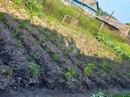 Участок в Тюменская область, Тобольский муниципальный округ, пос. ... - Фото 1
