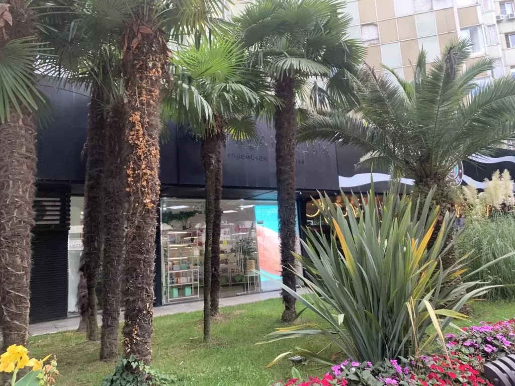 Торговая площадь в Краснодарский край, Сочи Центральный мкр, ул. ... - Фото 1