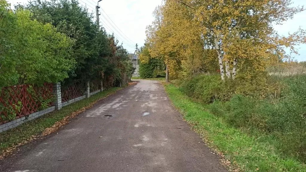 Участок в Калининградская область, Гусев Цветочная ул. (8.8 сот.) - Фото 1