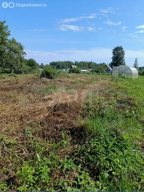 Участок в Ярославский муниципальный округ, деревня Мокеевское (9.62 м) - Фото 1