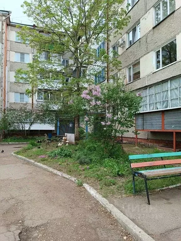 2-к кв. Еврейская автономная область, Биробиджан Набережная ул., 2 ... - Фото 1