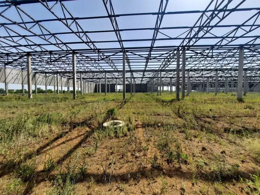 Склад в Самарская область, Волжский район, Смышляевка городское ... - Фото 2