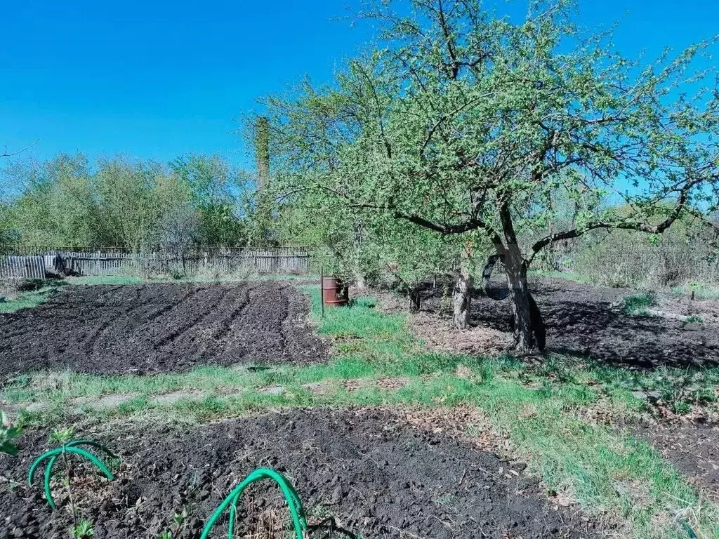 Шинник 2 Купить Дачу Омск Октябрьский Округ