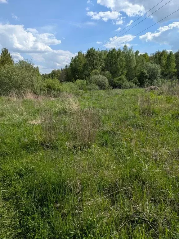 Участок в Владимирская область, Судогодский район, Вяткинское ... - Фото 0